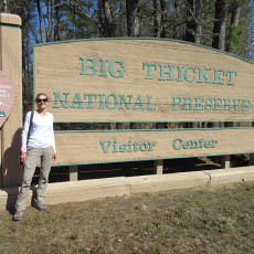 Bigfoot in Big Thicket?