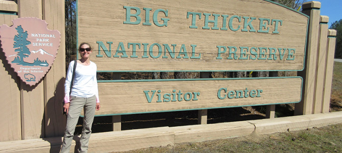 Bigfoot in Big Thicket?
