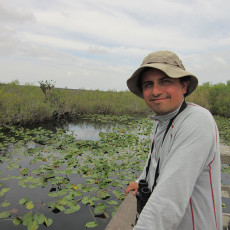 Everglades Redeemed