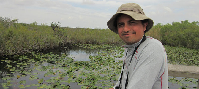 Everglades Redeemed