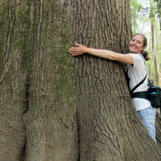 Hugging the Trees at Congaree