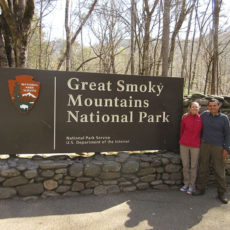 Life is Great in the Smokies