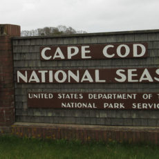 Trying to Cope in Cape Cod Trying to Cope in Cape Cod