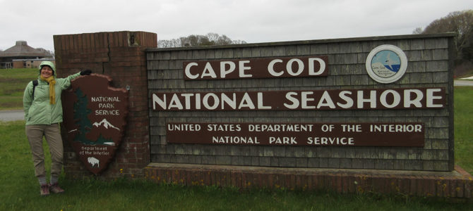 Trying to Cope in Cape Cod