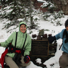 Glacier – From Snow Forest to Rainforest