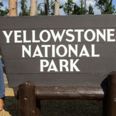 Yellowstone – A Tough Act to Follow