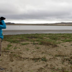 Point Reyes – A Birder’s Delight