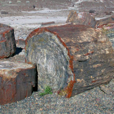 History and Prehistory in Arizona History and Prehistory in Arizona