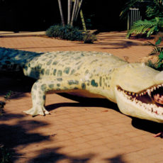 Australia’s Top End